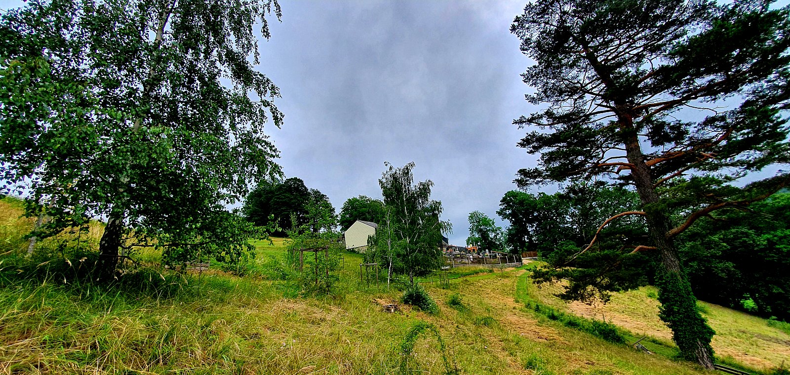 Umgang 23.6.2019