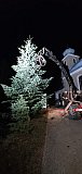 Christbaum vor Kirche aufstellen 2022