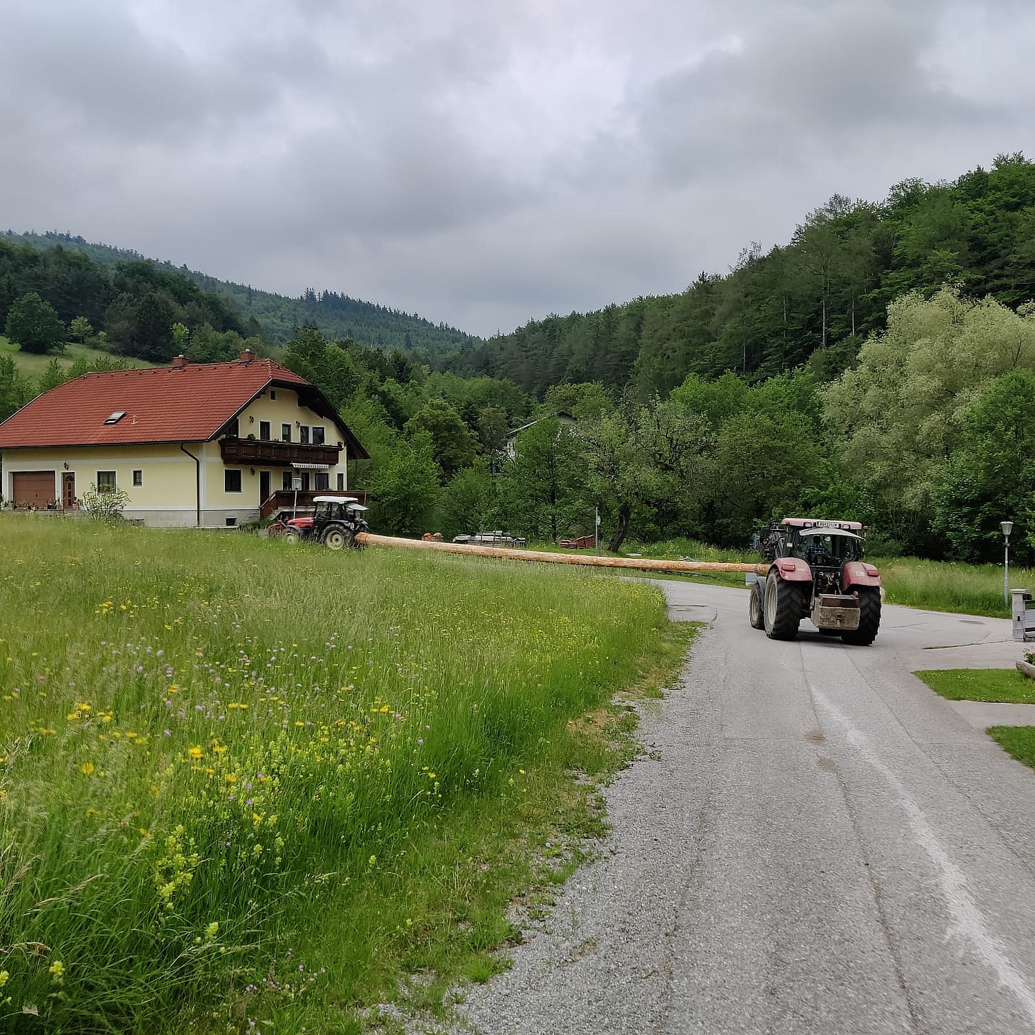 Wiedererichtung des Friedenskreuzes 2023