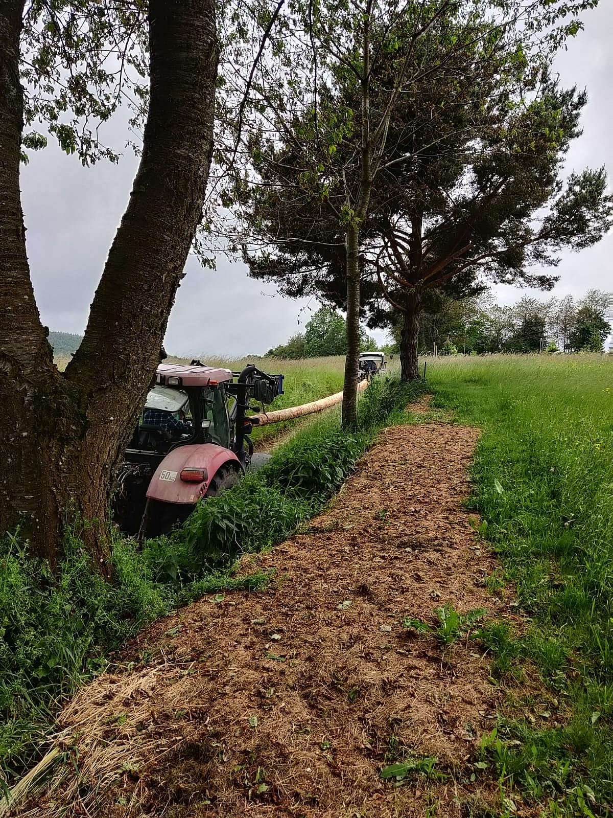 Wiederaufstellung des Friedenskreuzes