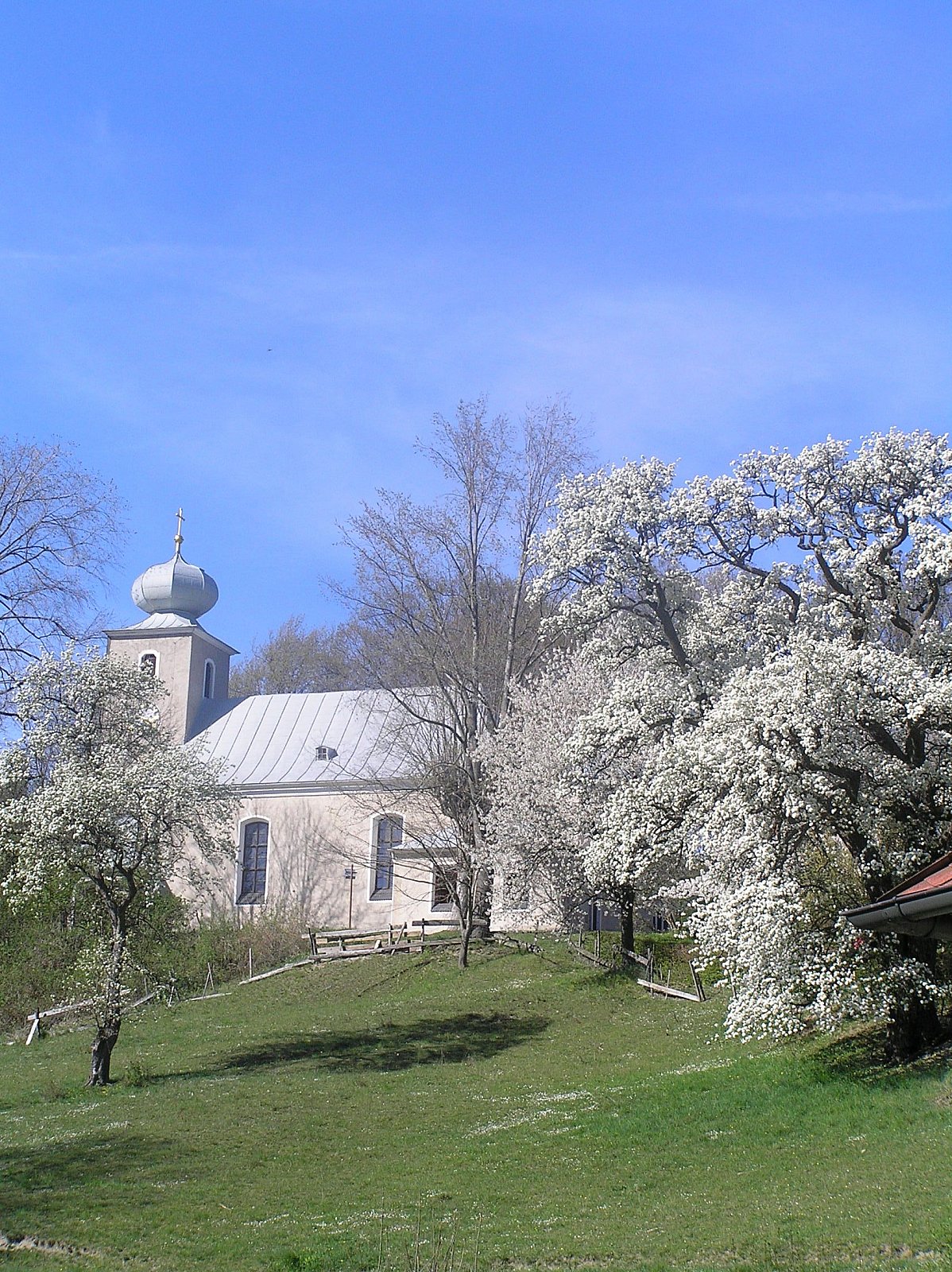 Frühlingspracht